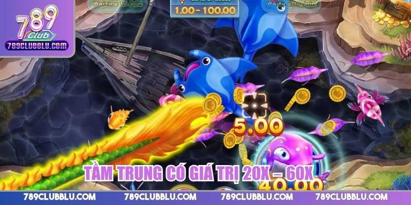 Tầm trung có giá trị 20x – 60x