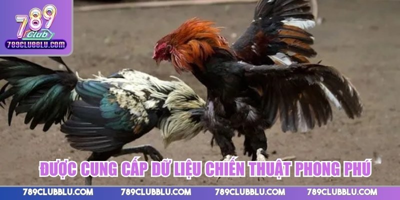 Được cung cấp dữ liệu chiến thuật phong phú