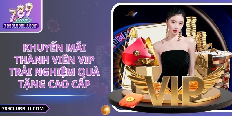 Khuyến Mãi Thành Viên VIP Trải Nghiệm Quà Tặng Cao Cấp
