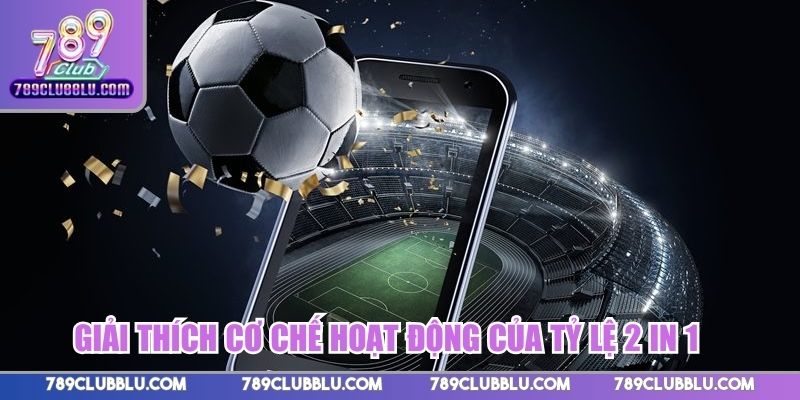 Giải thích cơ chế hoạt động của tỷ lệ 2 in 1